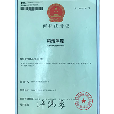 商标注册证鸿浩沣源